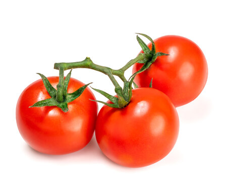 Group of Tomato isolated on white background, Tomato on white with clipping path.