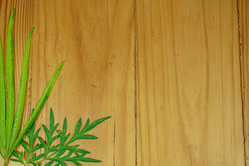 green leaves on wooden vintage background