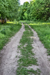 Fototapeta na wymiar Rural winding dirt track of a road closeup.