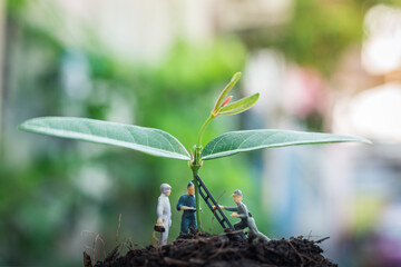 Miniature people team works to inspect and plant trees for a green world project. (We plant trees for a better world)