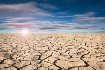 Fotobehang Ground cracks drought crisis environment. © r_tee