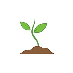 Fototapeta na wymiar plant vector icon illustration