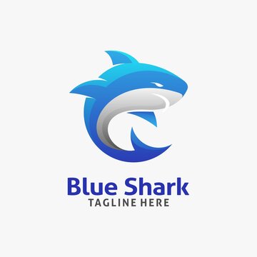 Blue shark logo design