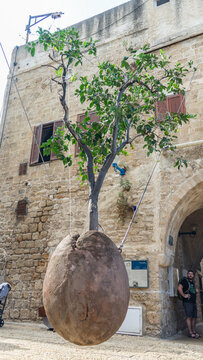 Hanging orange tree in Old Jaffa, Tel Aviv, Israel. The symbol of the Jewish people torn from their homeland.