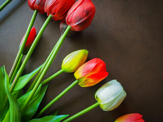 The beautiful tulip in my room.