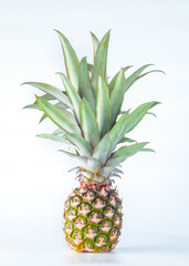 Pineapple fruit isolated on white background with clipping path.