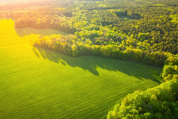 Tranquil landscape green forest scenic nature angry meadows at sunset with beautiful warm light. Aerial view