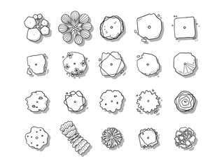 vector of top view tree set, hand drawn sketch on white background.