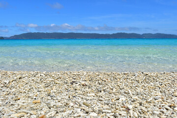 珊瑚の欠片と透き通るきれいな碧い海／古座間味ビーチ