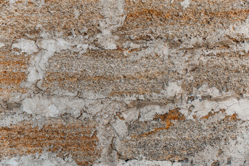 Rough texture of a brick wall made of shells, appearance