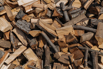 Texture, chopped firewood from different species of trees.