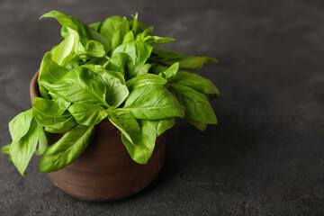 Fresh green basil on grey background