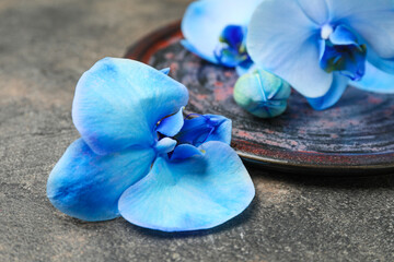 Beautiful orchid flowers and plate on grunge background