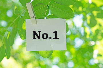  NO. 1