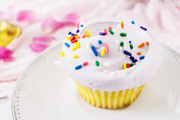 Cupcake with whipped cream and colorful sprinkles