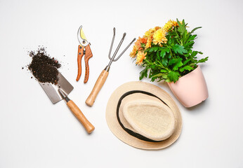 Set of gardening supplies with plant on white background