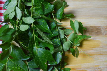 fresh curry leafs on wood chopping board for cooking