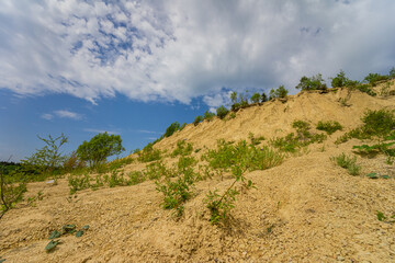 Fototapeta na wymiar Spring landscape of a closed sand pit.