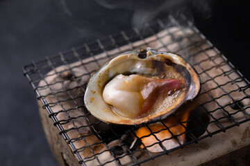 北海道産ほっき貝