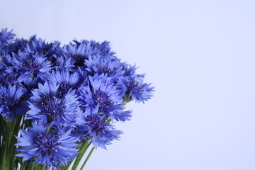 close-up of a fresh bouquet of wildflowers with blue petals, cornflowers