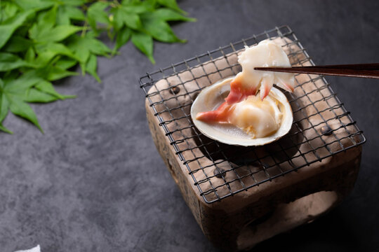 146 Best ほっき貝 Images Stock Photos Vectors Adobe Stock