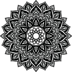 Circular pattern mandala art 
