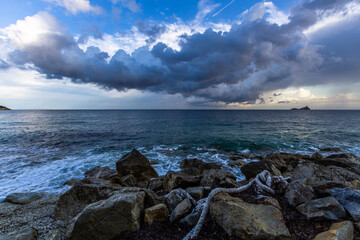nature around the elba island
