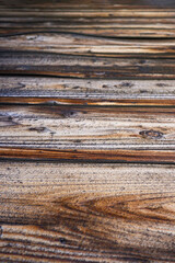 wood texture_5261