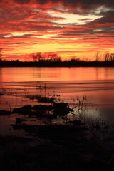 Colorful sunset by the Odra River, Poland.