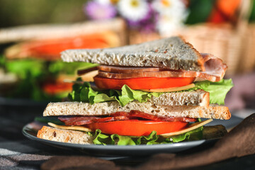 Picnic with sandwiches in park or forest. Toast bread, cheese, ham, sausage, tomatoes, salad leaves. Weekend party, sunny day