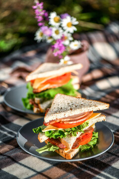 Picnic with sandwiches in park or forest. Toast bread, cheese, ham, sausage, tomatoes, salad leaves. Weekend party, sunny day