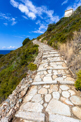 nature around the elba island