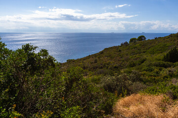 Fototapeta premium nature around the elba island