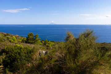 Fototapeta premium nature around the elba island
