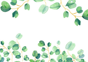 Eucalyptus watercolor botanical illustration for decoration