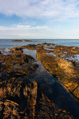 nature around the elba island