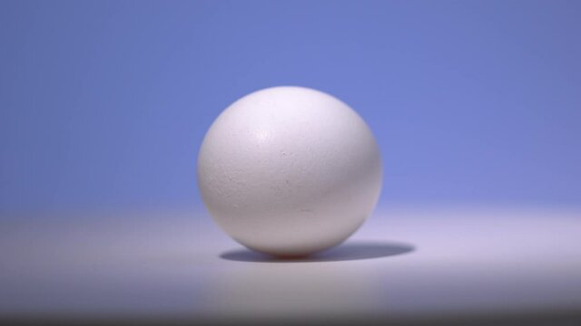 A white chicken egg rotates on a white surface with a blue background.
