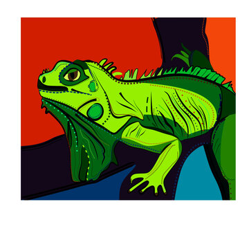 Colorful background, expressionism  art style,abstract iguana reptile