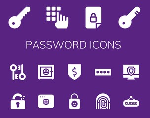 Modern Simple Set of password Vector filled Icons