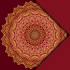 Mandala background. Vector illustration. For book cover