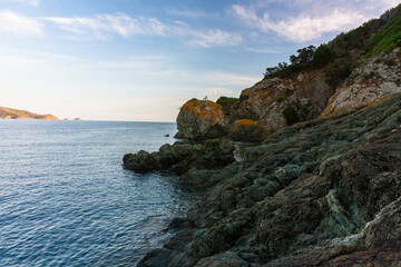 nature around the elba island