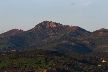 nature around the elba island