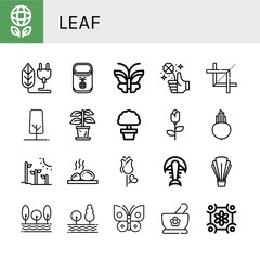 Set of leaf icons