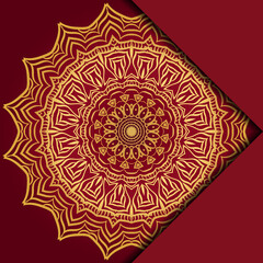 Mandala background. Vector illustration. For book cover