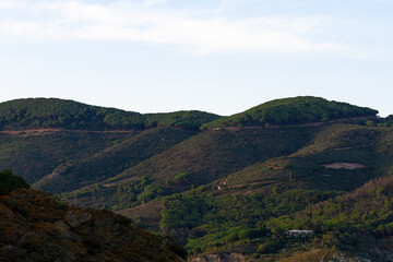 nature around the elba island