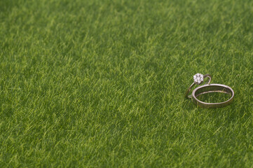 A pair of wedding/engagement ring isolated over green grass
