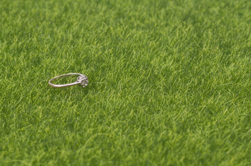 A single female wedding ring with diamond isolated over green grass