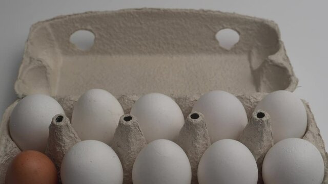 Slow panorama with white chicken eggs. One egg is different collor then another in the cell. 4K