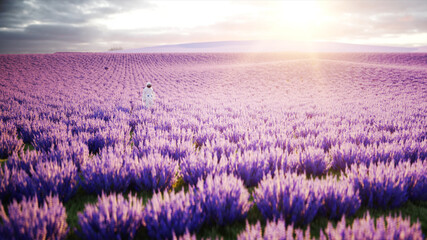 Fototapeta premium Astronaut with butterflies in lavender field. concept of future. broadcast. 3d rendering.
