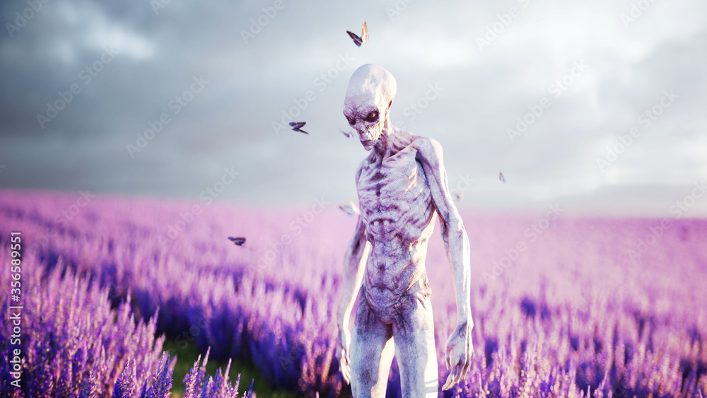 Sticker alien with butterflies in lavender field. concept of ufo. 3d rendering.